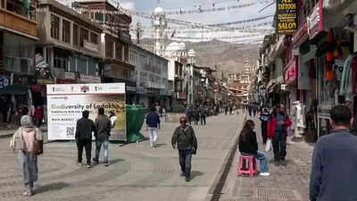 Centre rejects Sixth Schedule, statehood for Ladakh, offers council | India News