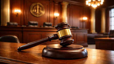 ‘Worse than traffic challan’: J&K HC nixes PSA detention order | India News