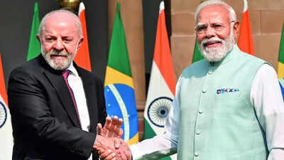 To lower China dependence, India signs rare earths deal with Brazil | India News