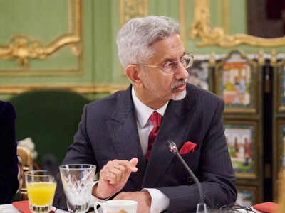 Critical minerals cooperation with US advancing rapidly: Jaishankar | India News