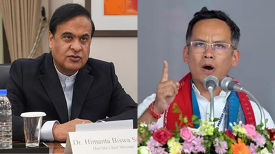 Pakistan firm hired Gogoi’s wife, salary paid by Ali Sheikh: Himanta’s big charge against Congress MP | India News