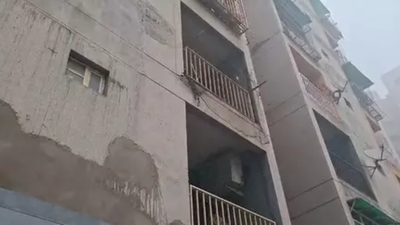 ‘Love game’: What is the Korean task-based app the Ghaziabad sisters were addicted to? | India News