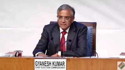 Bypolls for 8 assembly seats on April 9 & 23 | India News