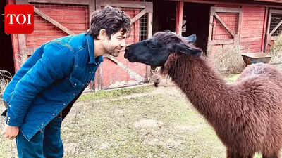 ‘The Devil Wears Prada’ actor Adrian Grenier on the one condition for an acting comeback: ‘I’d like to stay close to home’ | English Movie News