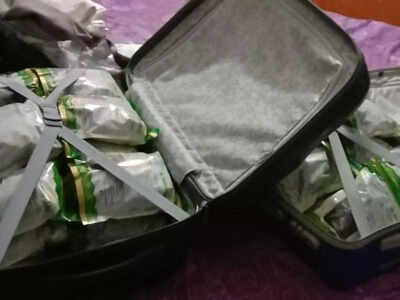 Kingpin of reptile smuggling racket held in Kanpur | India News