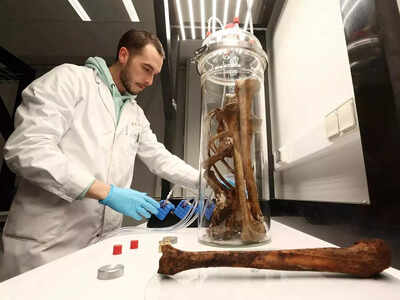 Stressful, toxic people in your life may make you age faster, say researchers | India News