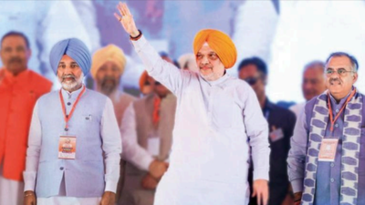 Will ban conversions if BJP forms govt In Punjab: Shah | India News