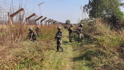 Two BSF personnel injured in assault in J-K’s Samba | India News