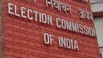 EC constitutes 19 appellate tribunals to hear SIR cases | India News