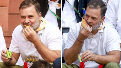 ‘Rahul Gandhi must apologise to the nation’: 204 retired officers, Army veterans and advocates slam LOP in open letter on Parliament conduct | India News