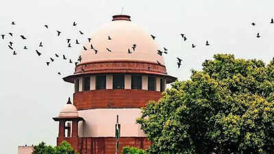 Supreme Court Verdict On Smuggling Case: After 41 years, Supreme Court finds accused guilty but waives prison term | India News