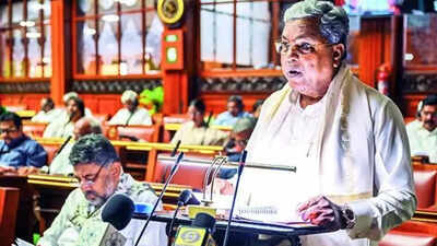 In a 1st in India, Karnataka links liquor tax to alcohol content | India News