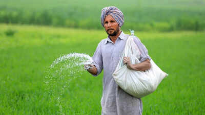 Urea output drops to 18L tonnes from 24L due to West Asia conflict | India News