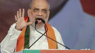 ‘Fed biryani to Pakistani terrorists’: Amit Shah attacks Mamata Banerjee at Bengal rally | India News
