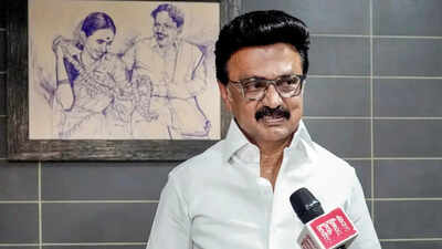 ‘Saffron lies surpasses blatant lies’: Tamil Nadu CM Stalin attacks BJP-led Centre ahead of polls | India News