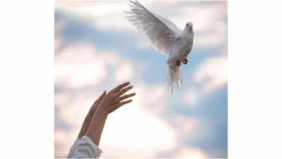 Emraan Hashmi and Disha Patani’s ‘Awarapan 2’ set for August 14 theatrical release | Hindi Movie News