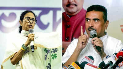 TMC vs BJP: Will anger over SIR impact electoral battle in Bengal? | India News