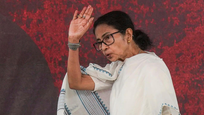 Many of you will be arrested: West Bengal CM Mamata warns TMC workers | India News