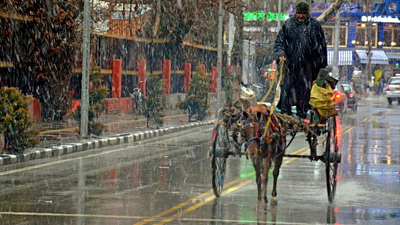 J&K: Last tonga in Srinagar rolls again, 70-year-old keeps past alive | India News