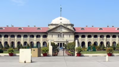 Second maternity leave can’t be denied merely because sought within 2 years of first: Allahabad HC | India News