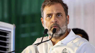 Rahul Gandhi says TMC graft & polarisation created way for BJP to enter West Bengal | India News