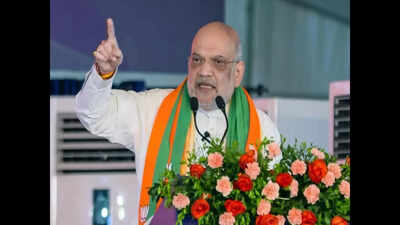 Will drop ‘false’ cases against Gorkha netas, says Amit Shah | India News