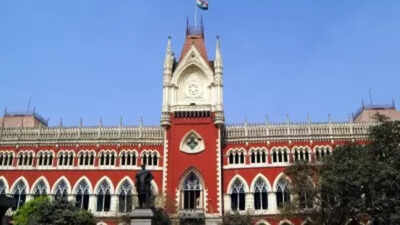 Not everyone is a troublemaker: Calcutta HC to poll panel | India News