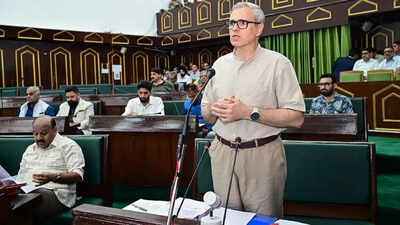 J&K govt announces revival of 120-yr-old power project | India News