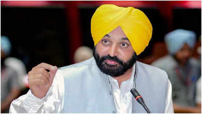 ‘Fellow MLAs will remain outside’: Punjab CM to meet President Murmu over seven AAP RS MPs joining BJP | India News