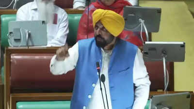 ‘What a shame’: Swati Maliwal accuses Bhagwant Mann of arriving ‘drunk’ in Punjab assembly | India News