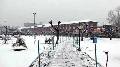 Mercury plunges as snow, rains hit Kashmir, Himachal & Uttarakhand | India News