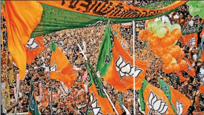 0 to 3: BJP rides on development road | India News