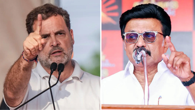 ‘Backstabbers’: INDIA bloc cracks out in open; DMK attacks ally Congress over support to TVK’s Vijay in Tamil Nadu | India News
