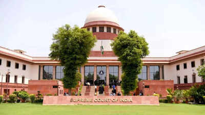 SC acquits man after 22 years in jail, raps Delhi high court for nixing delayed appeal | India News