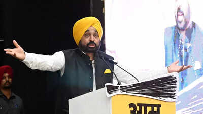 ‘This is Punjab, not scared by threats’: Bhagwant Mann after ED raid on minister | India News