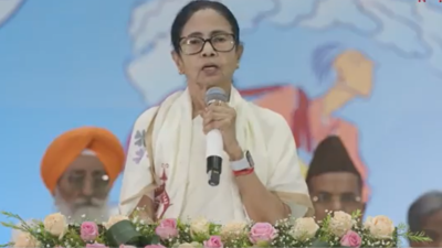 Didi updates social media bio, but avoids saying ‘ex-CM’ | India News