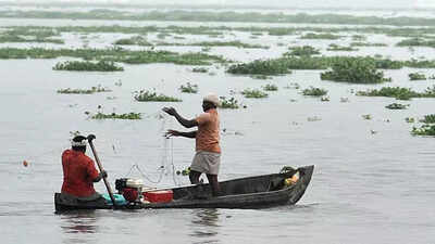 Monsoon may hit Andamans this week: IMD | India News