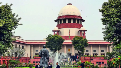 ‘One can wake up a Hindu, have lunch as a Muslim and go to sleep as a Christian’, this argument from rationalists could lead to absurdity: SC | India News