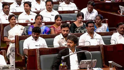 Tamil Nadu cabinet expansion: 23 MLAs inducted into Vijay government – who gets what | India News