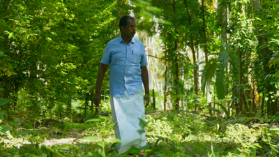 UN-honoured TN farmer turned coconut losses into profits with multi-crop, tree-based farming | India News