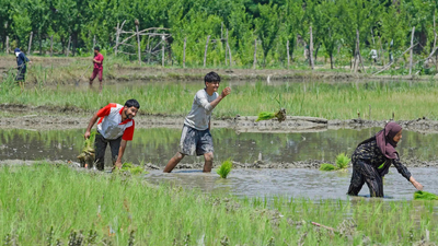 Government braces for a tough sowing season ahead | India News