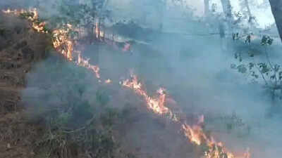 J&K: Days-long forest fires ravage Rajouri, wildlife enters residential areas | India News