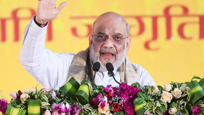 Amit Shah says panel on ‘artificial’ demographic change will examine need for new law | India News