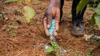 Government cuts Kharif fertiliser demand estimate on weak monsoon outlook | India News