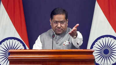 Expedite verifications, MEA tells Dhaka | India News