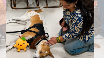 From Odisha’s streets to global peace symbol: Peace dog Aloka in Delhi, meets Maneka Gandhi | India News
