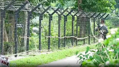 ‘Historical mistakes’: Himanta flags delay in India-Bangladesh border fencing, says Assam Accord provisions implemented only in 2025 | India News