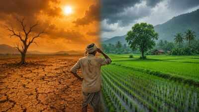 How El Nino could affect India’s monsoon and your household budget – explained | India News