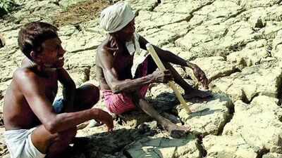 315 districts mapped for contingency plan as rain deficit widens to 43% | India News