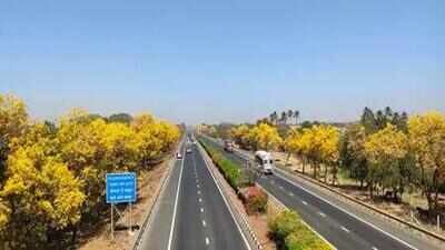 Finally, government sets up National Road Safety Board, Nitin Gokarn to head it | India News